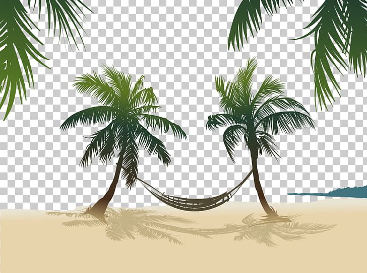 Arecaceae Stock Photography PNG, Clipart, Arecales, Autumn Tree, Beach, Branch, Christmas Tree Free PNG Download