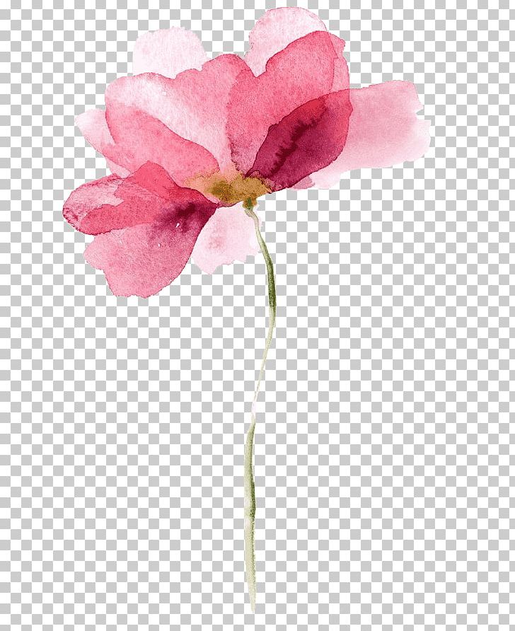 Watercolor Painting Canvas Flower PNG, Clipart, Art Flowers, Blossom, Canvas, Canvas Print, Cut Flowers Free PNG Download