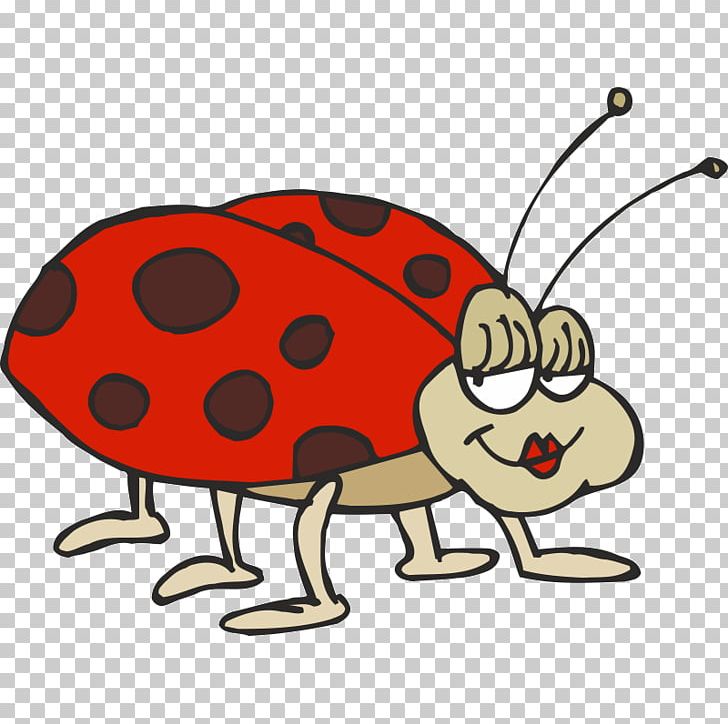 Ladybird Beetle Ladybird Ladybird Drawing Asian Lady Beetle PNG, Clipart, Animals, Artwork, Asian Lady Beetle, Beetle, Color Free PNG Download