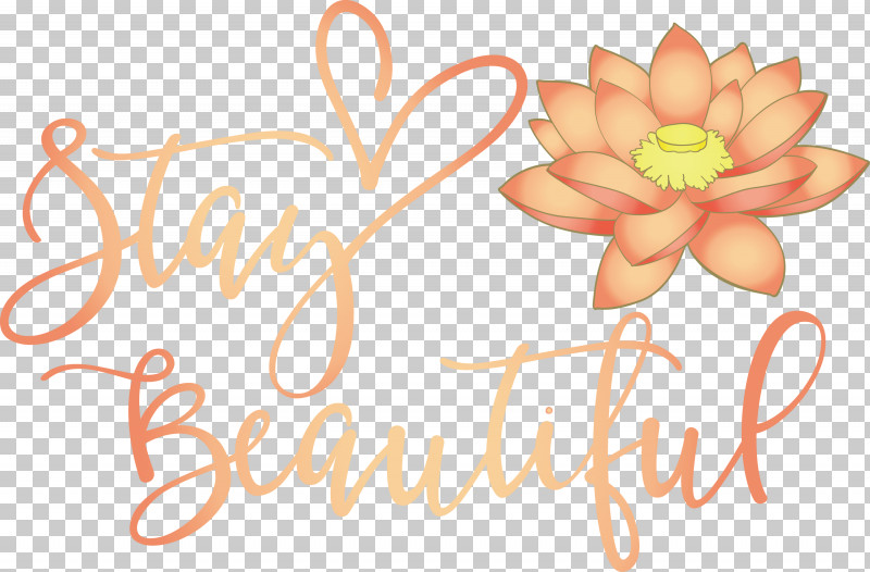 Stay Beautiful Fashion PNG, Clipart, Calligraphy, Fashion, Stay Beautiful, Typography Free PNG Download