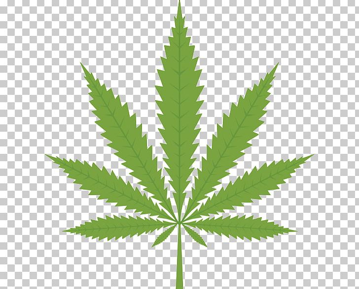 Cannabis PNG, Clipart, Cannabis, Cannabis Smoking, Computer Icons, Desktop Wallpaper, Drawing Free PNG Download