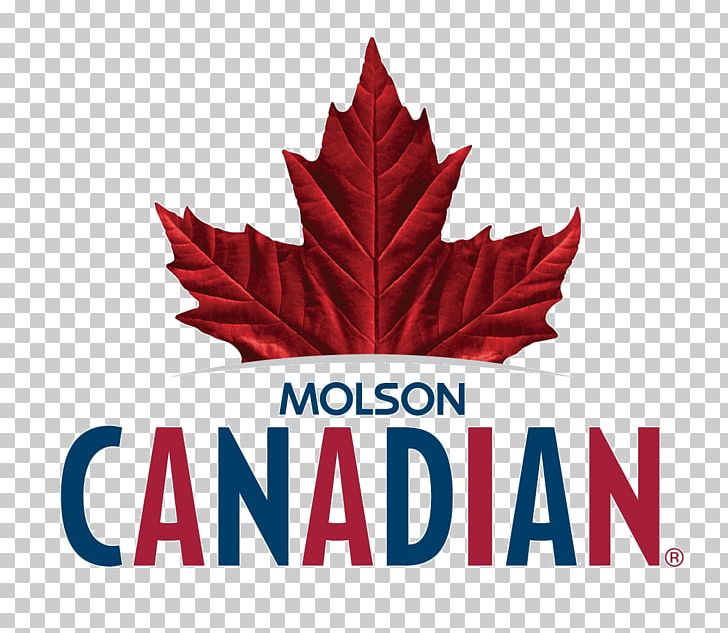 Molson Brewery Beer Lager Molson Coors Brewing Company PNG, Clipart, Alcoholic Drink, Beer, Beer Brewing Grains Malts, Beer In Canada, Brand Free PNG Download