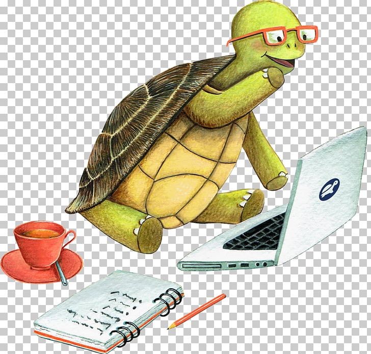 Tortoise Sea Turtle Teacher Learning PNG, Clipart, Animals, Behavior, Cartoon, Goal, Homo Sapiens Free PNG Download