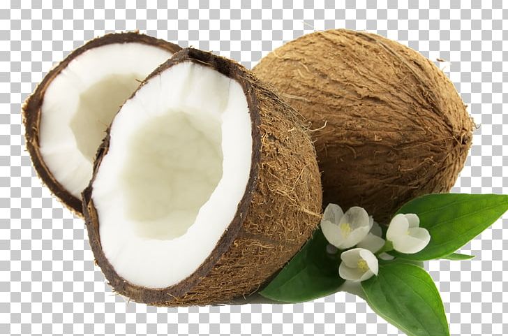 Coconut Water Coconut Milk Coconut Oil PNG, Clipart, Arecaceae, Coconut, Coconut Cream, Coconut Fruit, Coconut Milk Free PNG Download