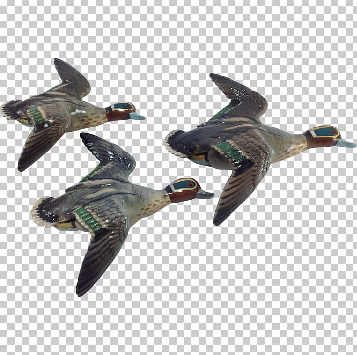 Duck Mallard Goose Bird Waterfowl PNG, Clipart, Anatidae, Animal, Animals, Beak, Bird Free PNG Download