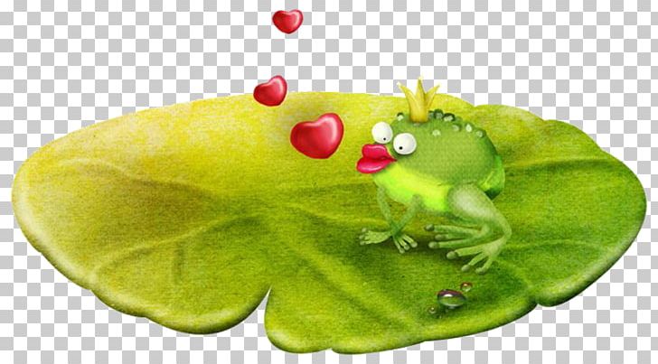 Frog PhotoScape PNG, Clipart, Animal, Blog, Download, Email, Frog Free PNG Download
