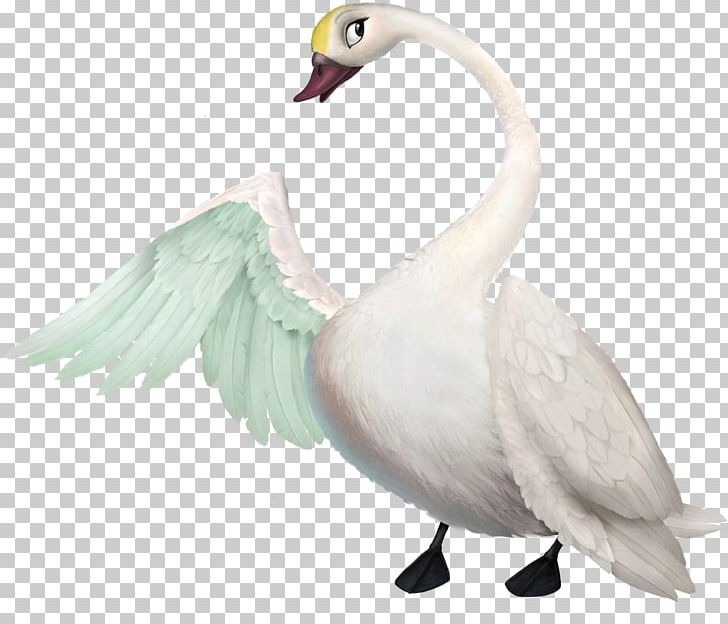 Princess Odette Cygnini Duck Film Anatidae PNG, Clipart, Animals, Bill Fagerbakke, Bird, Ducks Geese And Swans, Fauna Free PNG Download