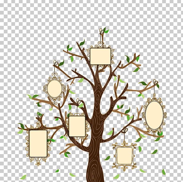 Family Tree Euclidean Illustration PNG, Clipart, Autumn Tree, Branch, Cartoon, Cartoon Tree, Christmas Tree Free PNG Download