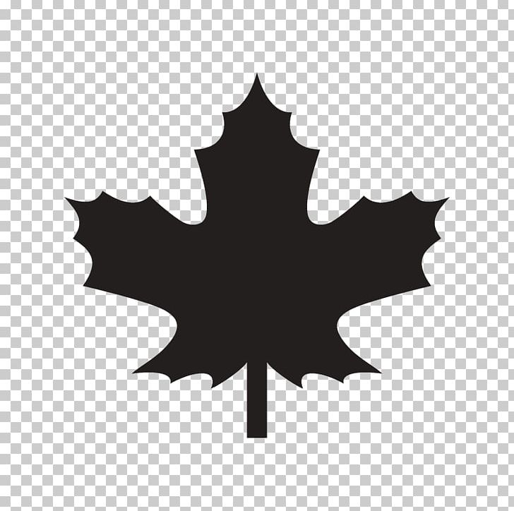 Maple Leaf Canada PNG, Clipart, Black And White, Canada, Cottonwood, Flag Of Canada, Flowering Plant Free PNG Download