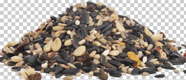 Nut Caraway Seed Cake Sunflower Seed Berry PNG, Clipart, Berry, Bird, Bird Food, Caraway Seed Cake, Commodity Free PNG Download