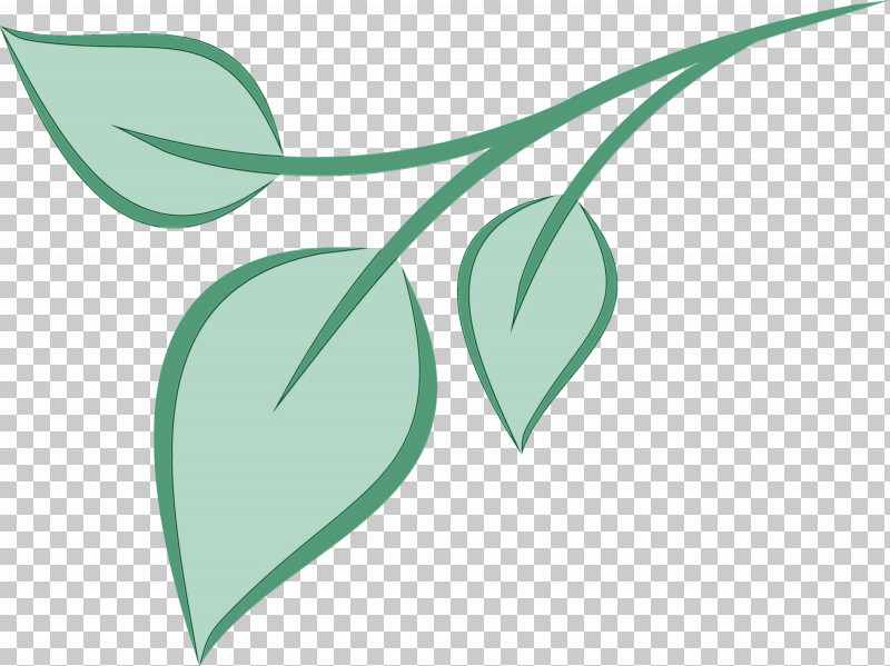Plant Stem Petal Leaf Branch Green PNG, Clipart, Biology, Branch, Green, Leaf, Line Free PNG Download