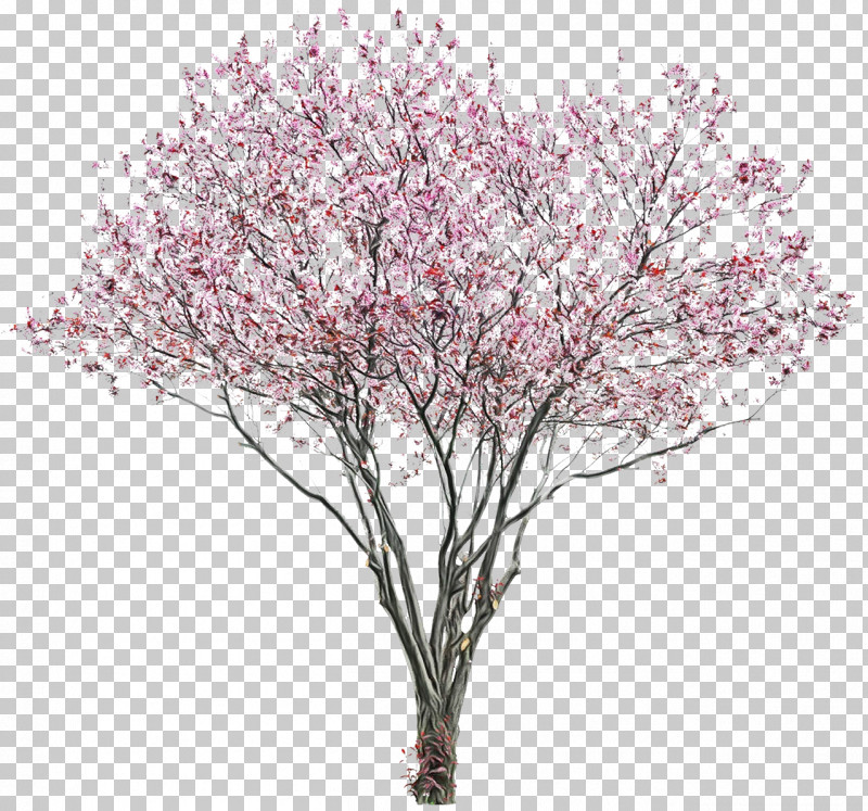 Cherry Blossom PNG, Clipart, Blossom, Cherry, Cherry Blossom, Japan, Japanese Art Free PNG Download