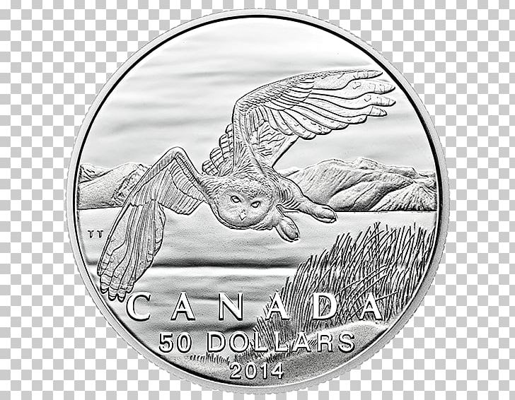 Canada Owl Silver Coin PNG, Clipart, 50 Fen Coins, Bird, Black And White, Canada, Canada Goose Free PNG Download