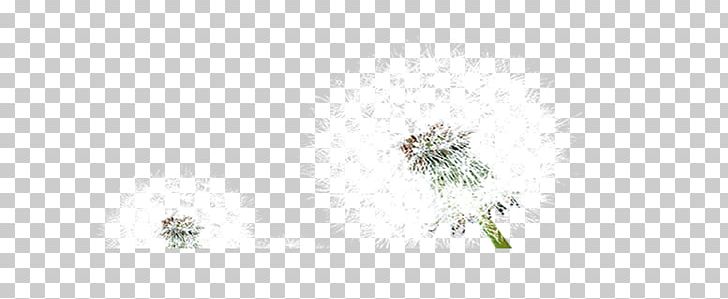 Floral Design Pattern PNG, Clipart, Black Dandelion, Computer, Computer Wallpaper, Dandelion, Dandelion Flower Free PNG Download