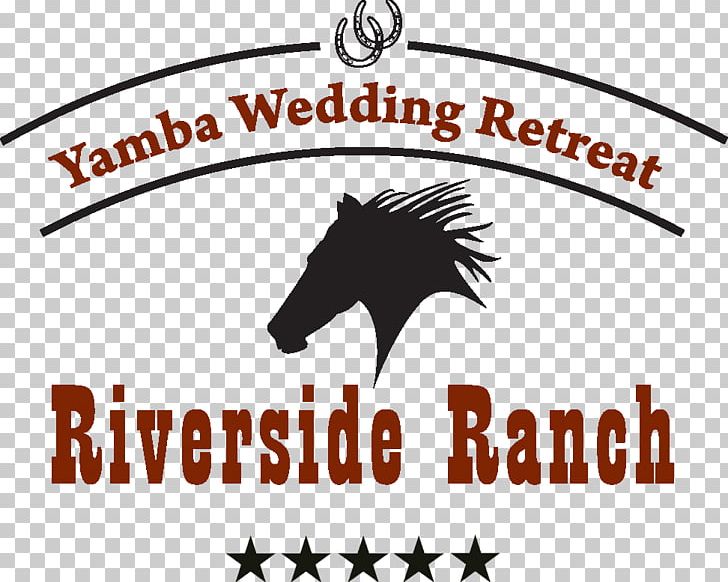 Yamba Weddings Mustang Wedding Reception Yamba Shores Tavern PNG, Clipart, Area, Artwork, Black And White, Brand, Clarence Free PNG Download