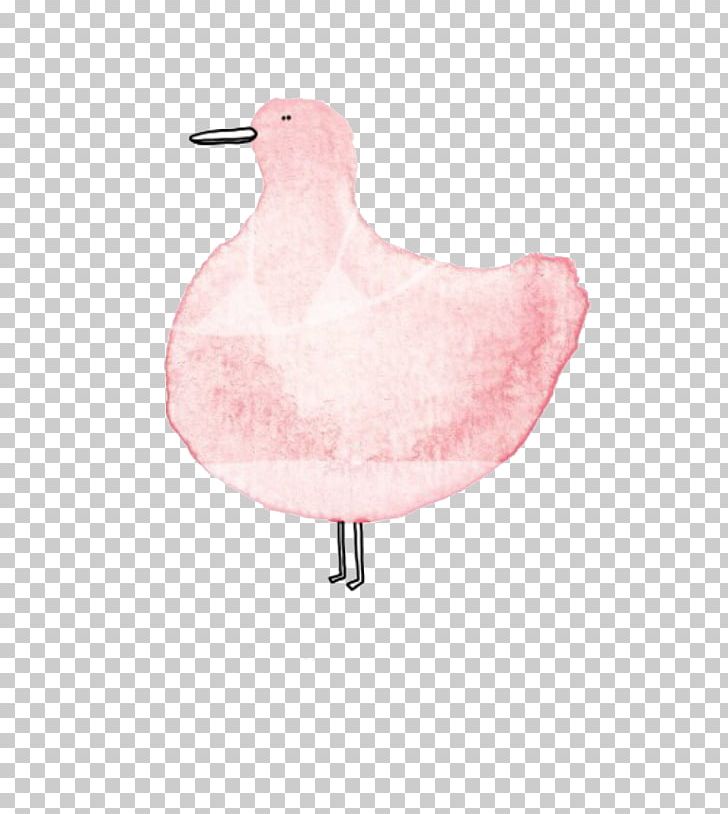Duck Water Bird Icon PNG, Clipart, Adobe Illustrator, Anatidae, Animals, Beak, Bird Free PNG Download