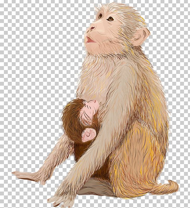 Infant Monkey Drawing Illustration PNG, Clipart, Animal, Animals, Baby Bottle, Breastfeeding, Cartoon Free PNG Download