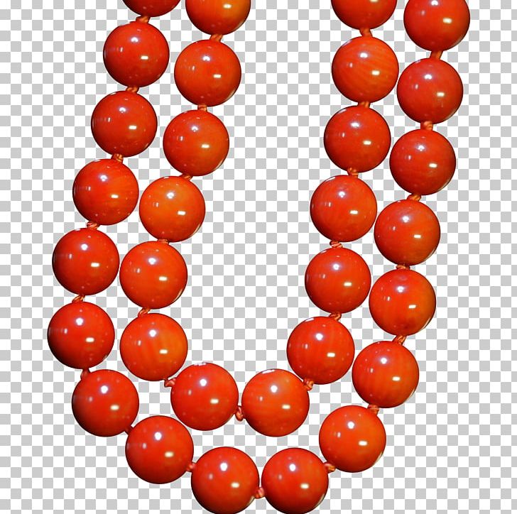 Mediterranean Sea Bead Red Coral Orange PNG, Clipart, Bead, Coral, Crescent, Fruit, Fruit Nut Free PNG Download