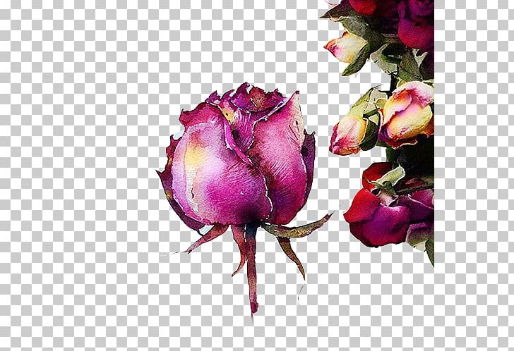 Watercolor Painting Drawing Art Illustration PNG, Clipart, Behance, Color Pencil, Cut Flowers, Decorative, Flower Free PNG Download