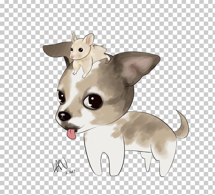 Chihuahua Puppy Dog Breed Companion Dog Whiskers PNG, Clipart, Animals, Breed, Carnivoran, Cat, Chihuahua Free PNG Download