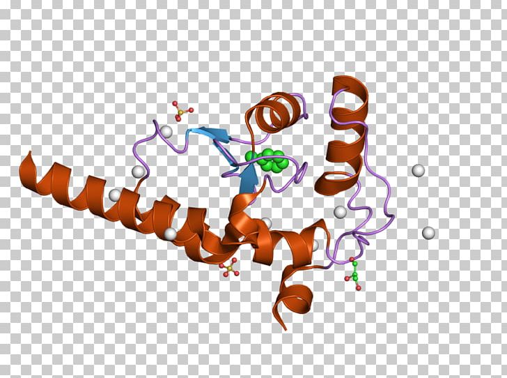 Protein Gene HRB PNG, Clipart, Computer, Computer Wallpaper, Desktop Wallpaper, Domain Of A Function, Finger Free PNG Download