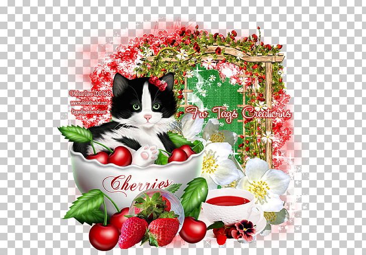 Strawberry Kitten Canvas Melissa Dawn PNG, Clipart, Canvas, Cat, Flower, Food, Fruit Free PNG Download