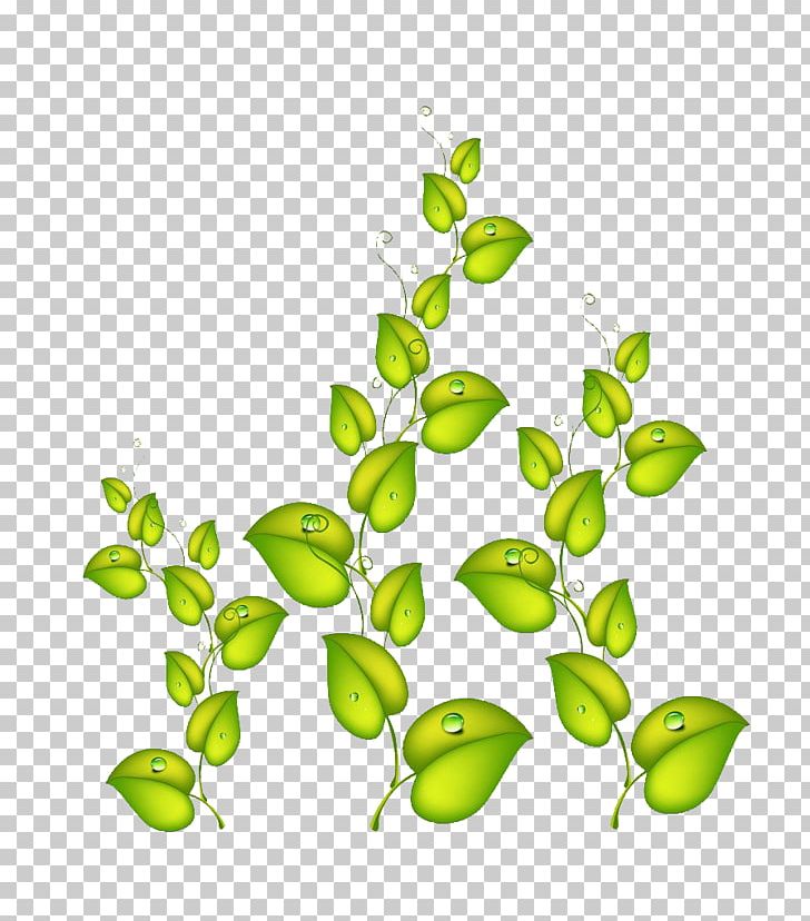 Vines PNG, Clipart, Decorative Patterns, Grass, Green, Vines Free PNG Download