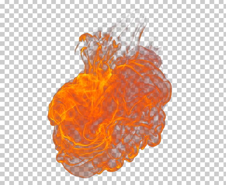 Fire Flame Organism Gratis PNG, Clipart, Fire, Fire Flame, Flame, Fogo, Gratis Free PNG Download