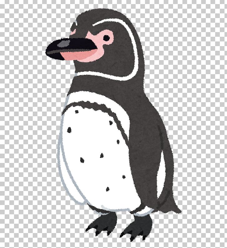 Galapagos Penguin New Year Card Magellanic Penguin PNG, Clipart, African Penguin, Animal, Beak, Bird, Cartoon Free PNG Download