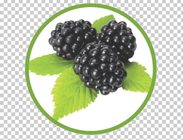 Boysenberry Red Mulberry Superfood Blackberry PNG, Clipart, Berry, Blackberry, Boysenberry, Food, Fruit Free PNG Download