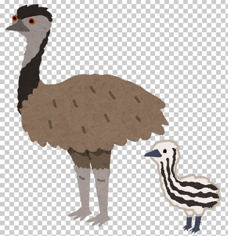 clipart chicken ostrich