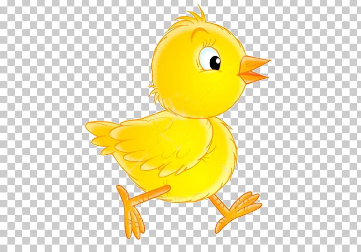 Creative Market PNG, Clipart, Art, Beak, Bird, Chick, Chick Clipart Free PNG Download