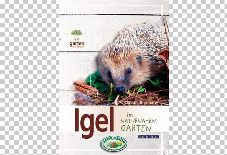 Domesticated Hedgehog Igel Im Naturnahen Garten Porcupine Small Animal Supply PNG, Clipart, Animals, Domesticated Hedgehog, Domestication, Erinaceidae, European Hedgehog Free PNG Download