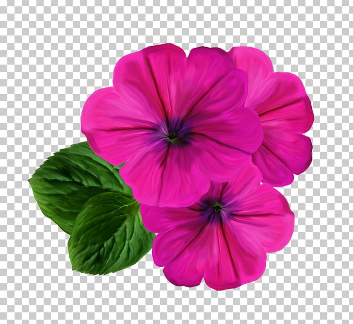 Flower Photography PNG, Clipart, Annual Plant, Art, Decorative, Floral, Flowers Free PNG Download