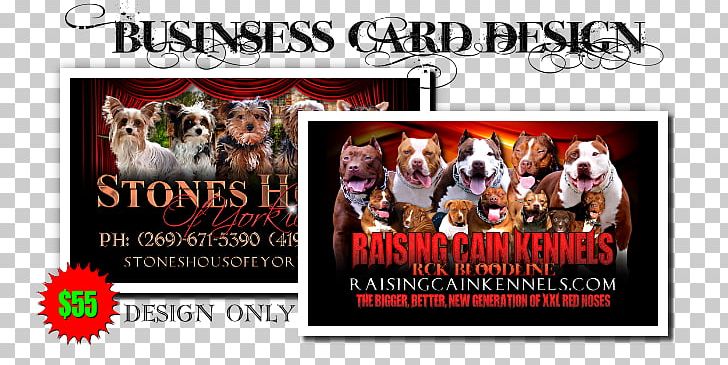 American Pit Bull Terrier Dog Breeding Kennel Breeder PNG, Clipart, Advertising, American Pit Bull Terrier, Banner, Breeder, Business Free PNG Download