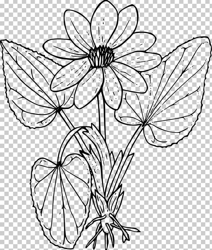 Coloring Book Wildflower Drawing PNG, Clipart, Adult, Brush Footed Butterfly, Child, Color, Fictional Character Free PNG Download