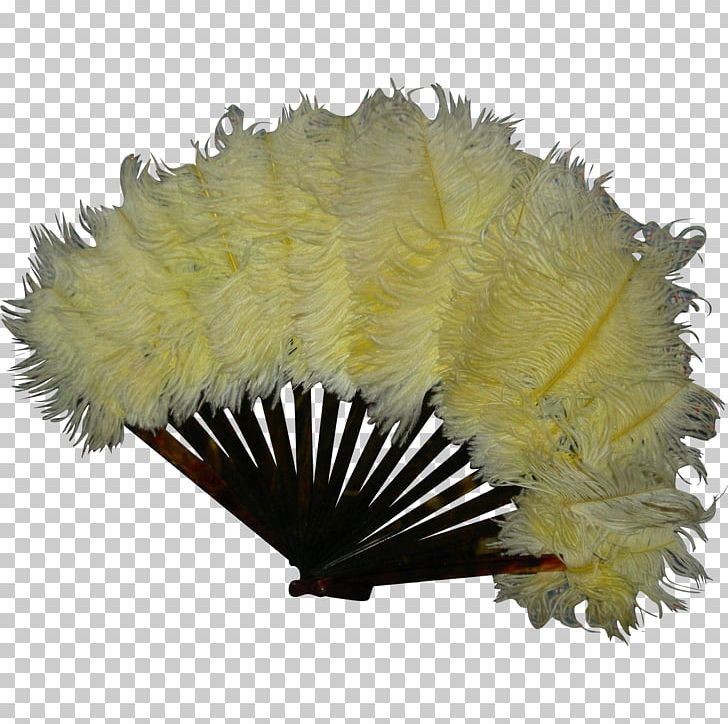 Feather PNG, Clipart, Animals, Brown, Decorative Fan, Doll, Fashion Doll Free PNG Download