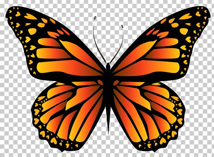Monarch Butterfly Insect Viceroy Caterpillar PNG, Clipart, Arthropod, Brush Footed Butterfly, Butterflies And Moths, Butterfly, Drawing Free PNG Download