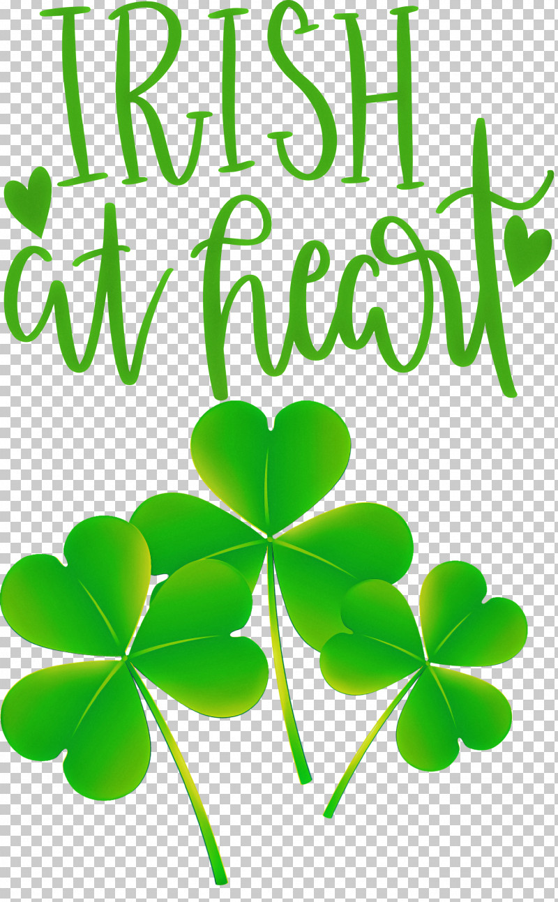 Shamrock Irish Saint Patrick PNG, Clipart, Banana Milkshake, Clover, Fourleaf Clover, Irish, Leaf Free PNG Download