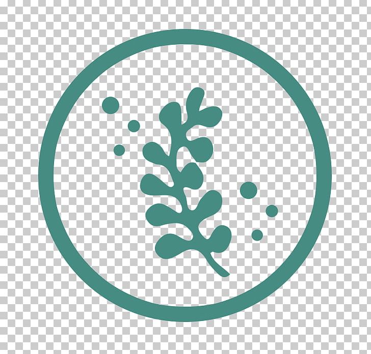 Seaweed Aquatic Plants Seabed PNG, Clipart, Aquatic Plants, Circle, Computer Icons, Green, Leaf Free PNG Download