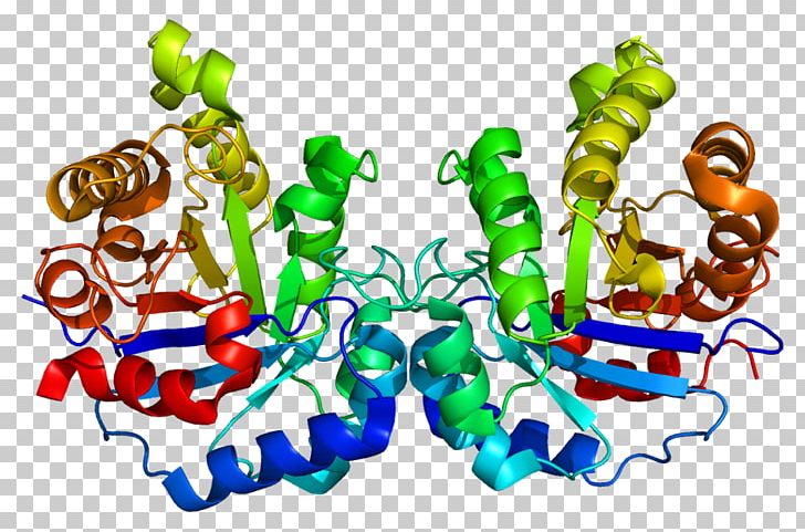 Hepatotoxicity Liver Metabolite Microsome PNG, Clipart, Art, Clinical Research, Drug, Drug Withdrawal, Hepatotoxicity Free PNG Download