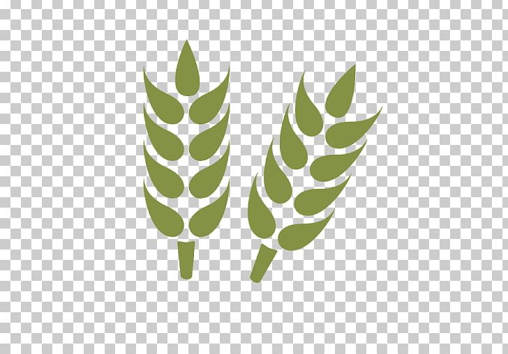Agriculture Farmer Organization Business PNG, Clipart, Agriculture, Android Games, Apk, App, Business Free PNG Download