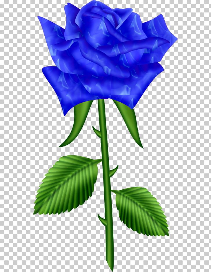 Blue Rose Garden Roses Cabbage Rose Flower PNG, Clipart, Beach Rose, Blue, Blue Rose, Bud, Cut Flowers Free PNG Download