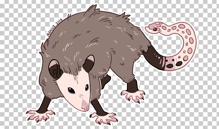 Common Opossum Virginia Opossum Mouse Snout PNG, Clipart, Animal, Animal Figure, Animals, Carnivoran, Cartoon Free PNG Download