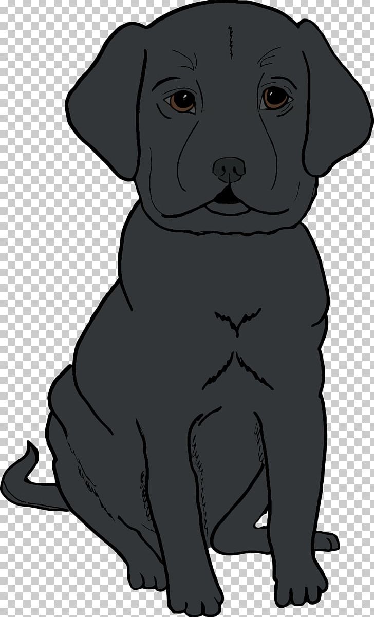 Labrador Retriever Puppy Dog Breed Whiskers PNG, Clipart, Animals, Black, Black And White, Breed, Carnivoran Free PNG Download