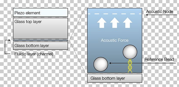 Brand Diagram Product Design Line PNG, Clipart, Angle, Area, Brand, Diagram, Line Free PNG Download