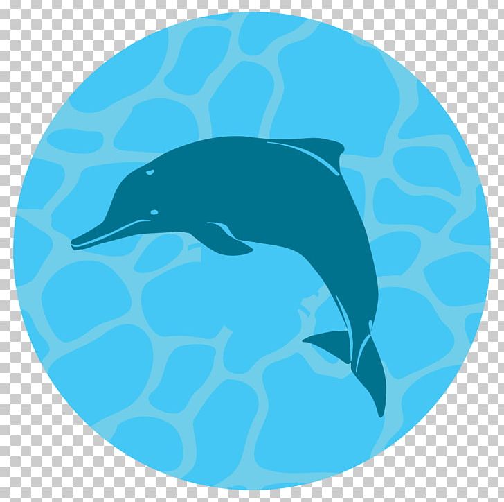 Common Bottlenose Dolphin Tucuxi Earth Hour 2018 Green Sea Turtle PNG, Clipart, Beak, Bottlenose Dolphin, Chinese White Dolphin, Earth Hour, Electric Blue Free PNG Download