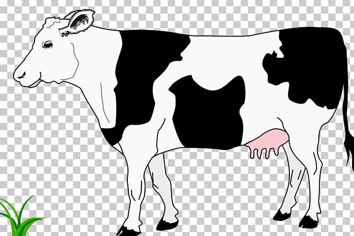Hereford Cattle White Park Cattle Calf Ox PNG, Clipart, Animals, Art, Black And White, Bull, Cartoon Free PNG Download