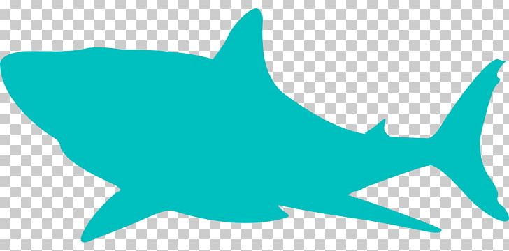 Shark Jaws Fish PNG, Clipart, Animals, Animation, Blue Shark, Cartilaginous Fish, Fauna Free PNG Download