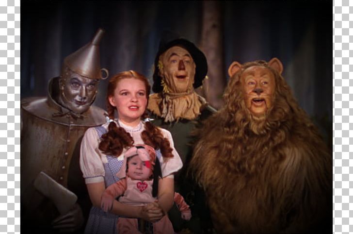 The Wonderful Wizard Of Oz Dorothy Gale Toto Tin Woodman Wicked Witch Of The West PNG, Clipart, Cowardly Lion, Dorothy Gale, Family, Film, Film Director Free PNG Download